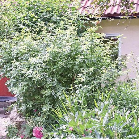 1 Bedroom Beautiful Home In Tomelilla Zewnętrze zdjęcie